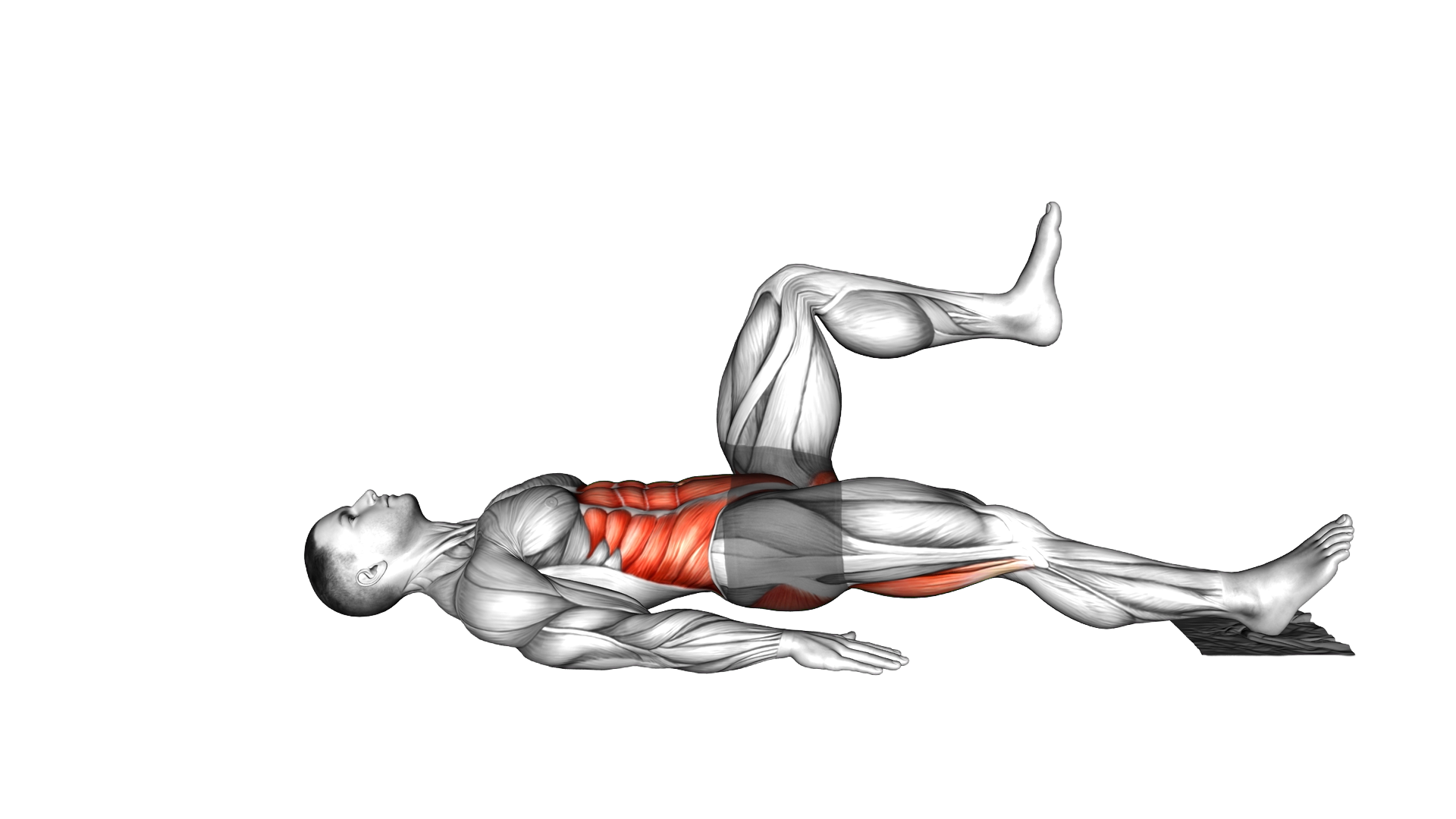Ring Single Leg Curl with towel exercise demonstration
