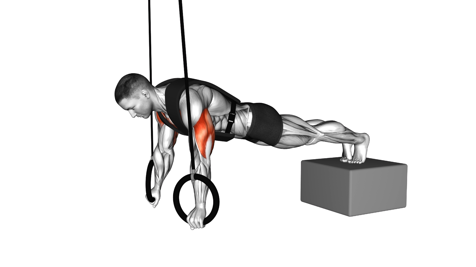 Ring Weighted Vest Decline Push up exercise demonstration