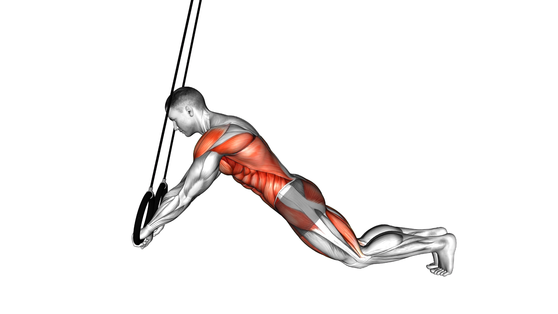 Ring Extended Plank exercise demonstration