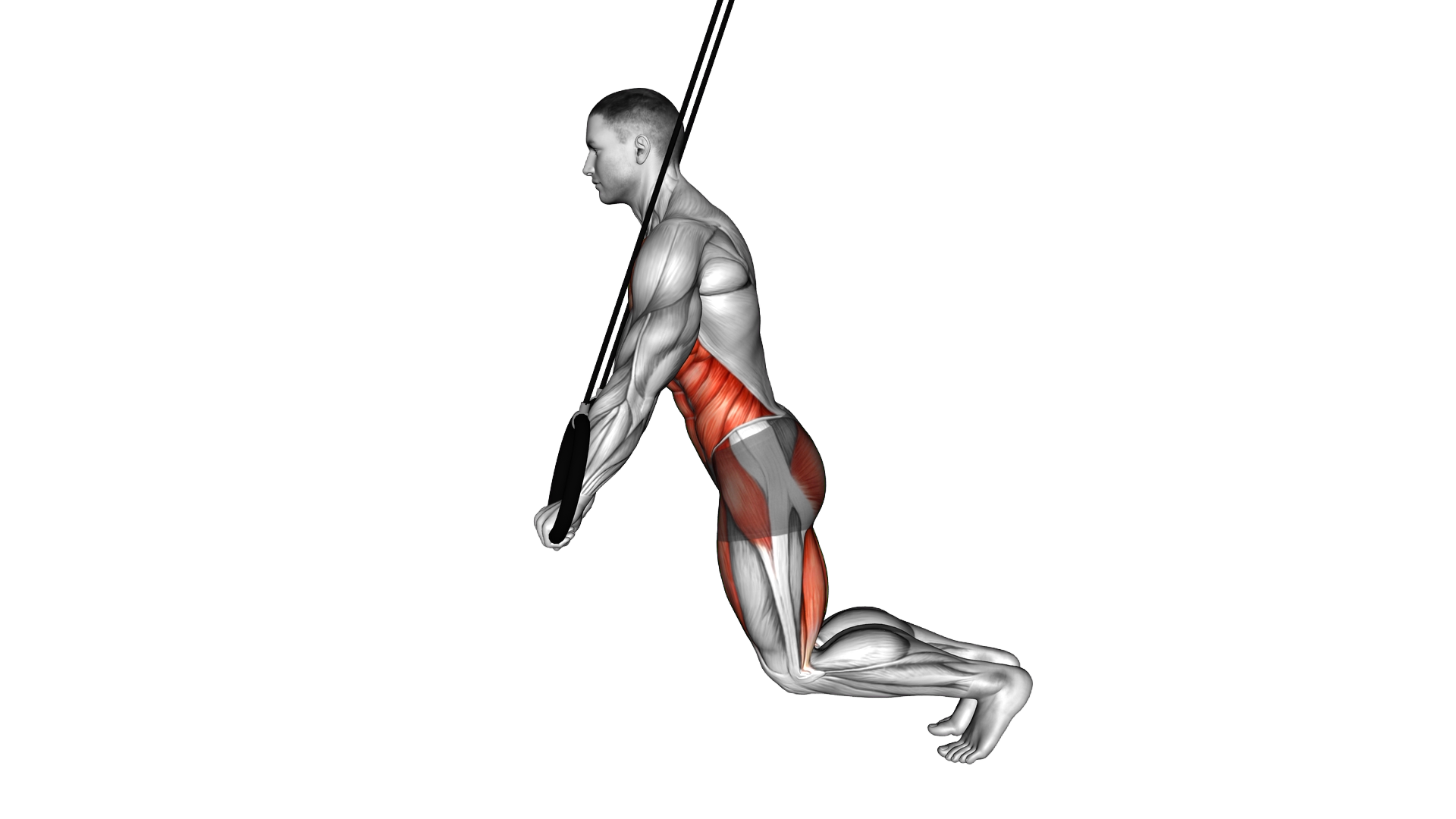 Ring Incline Plank exercise demonstration