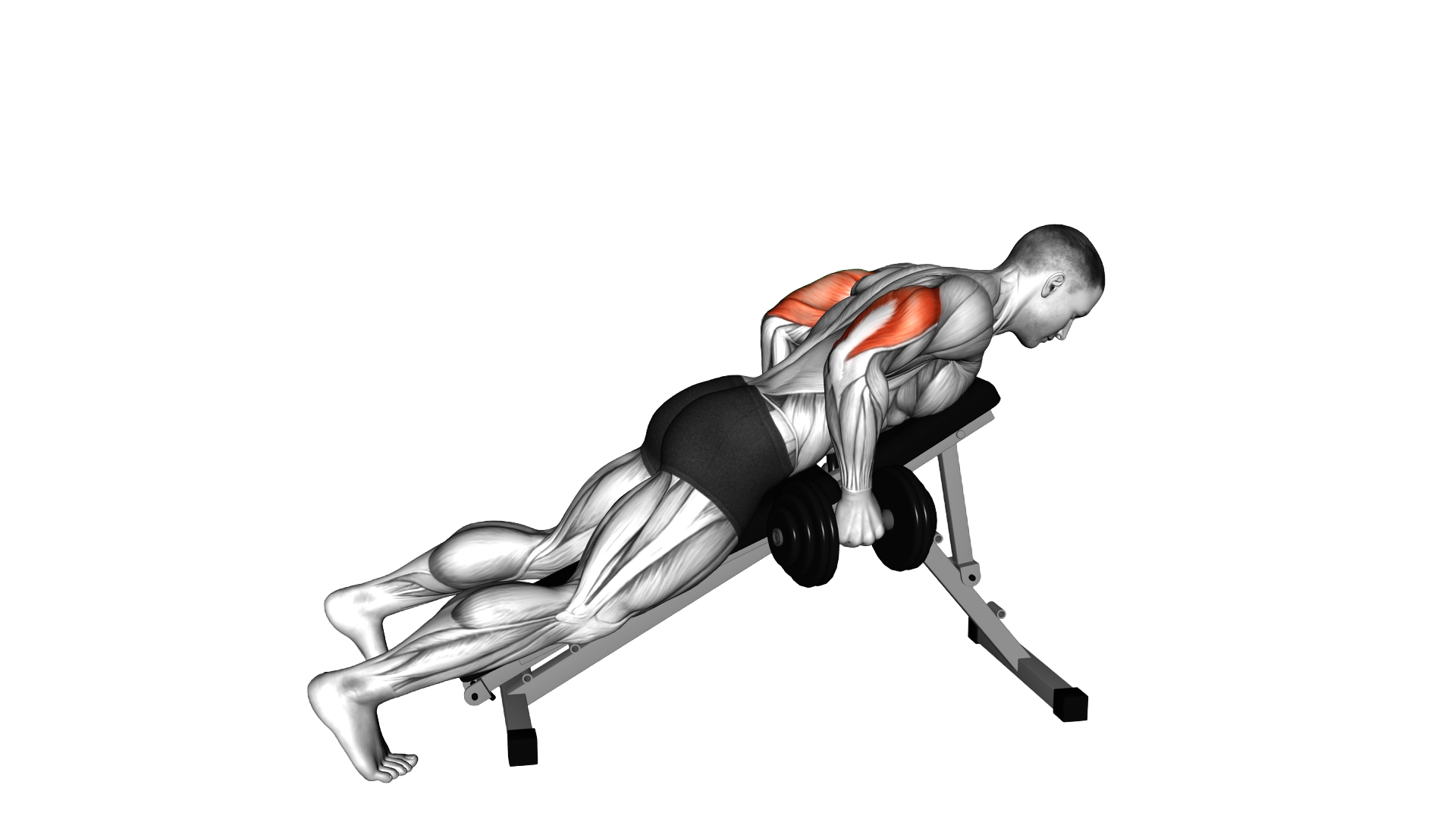 Dumbbell Incline Triceps Kickback exercise demonstration