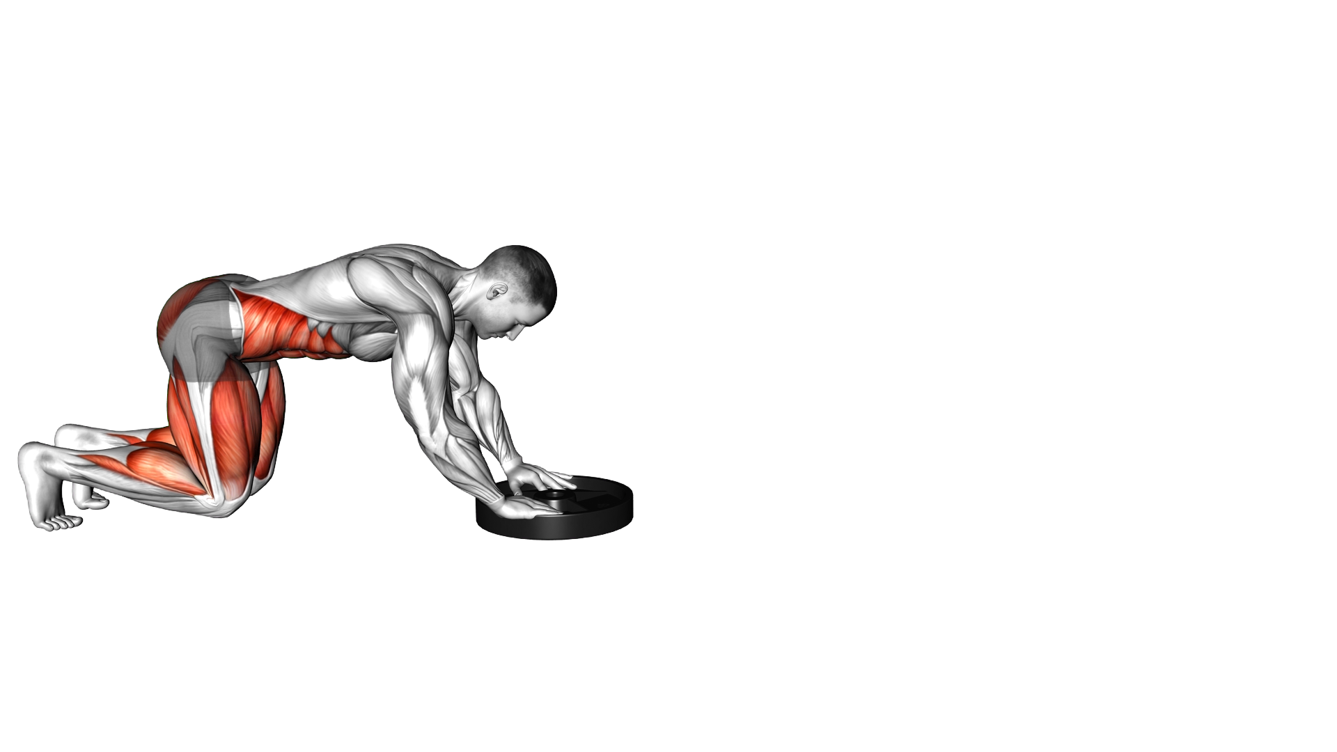 Plate Push exercise demonstration