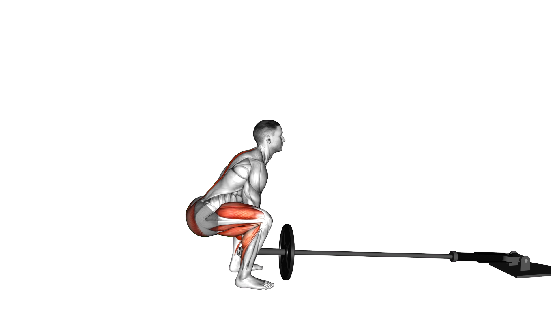 Landmine Deadlift exercise demonstration