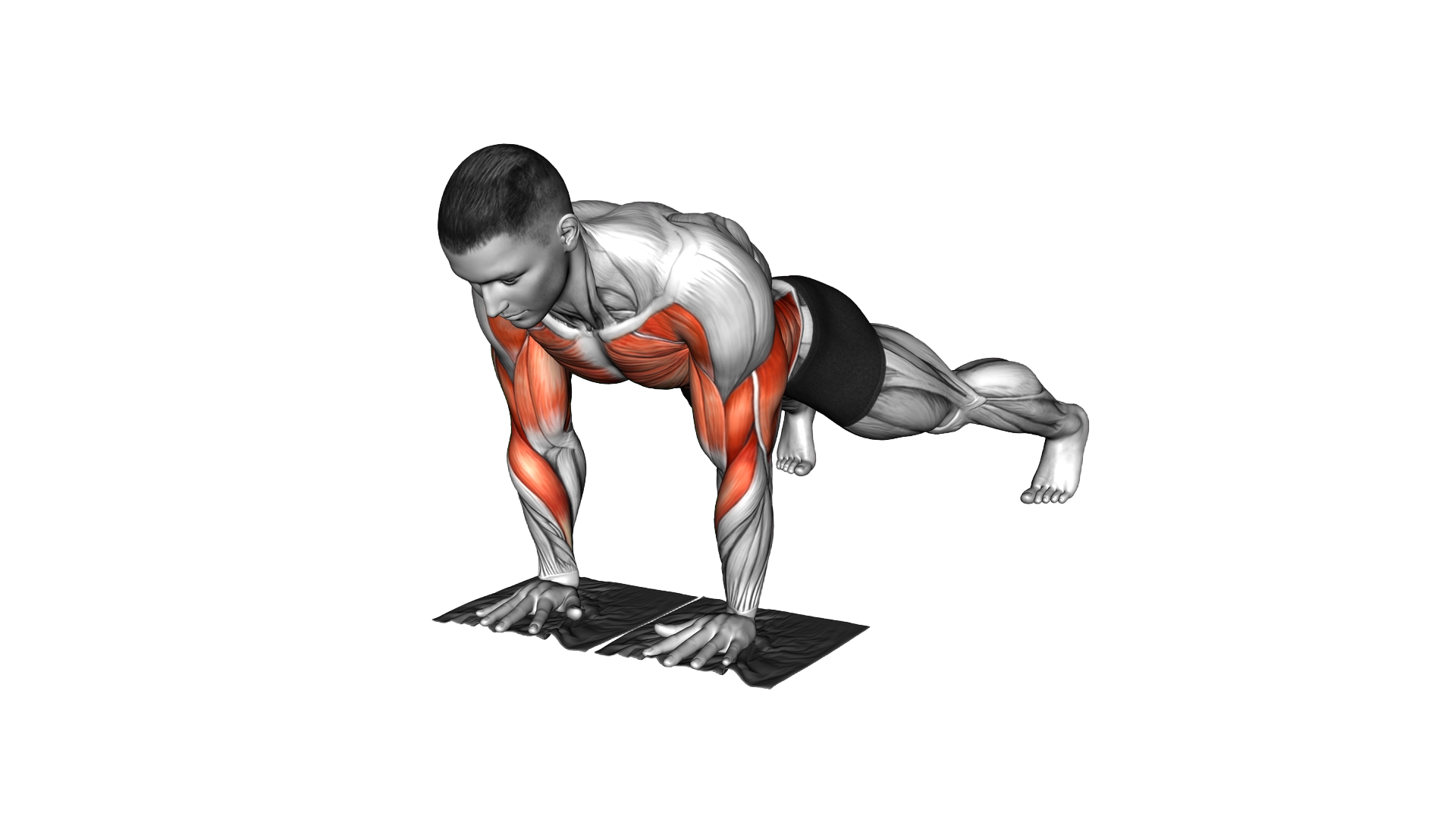 Lever Push up with Towels exercise demonstration