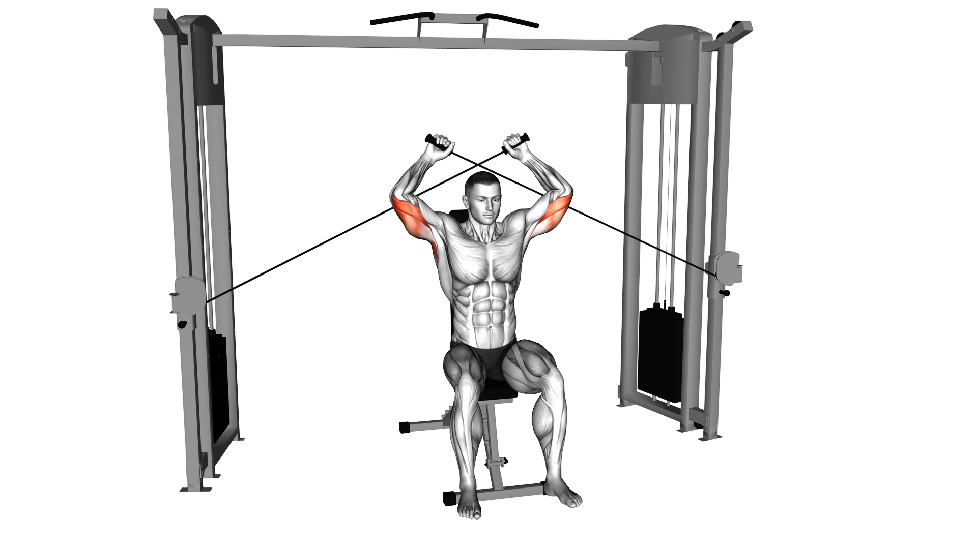 Cable Seated High Triceps Extension exercise demonstration