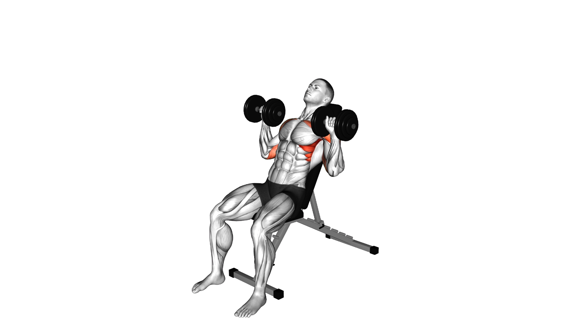Dumbbell Incline Shoulders Press exercise demonstration