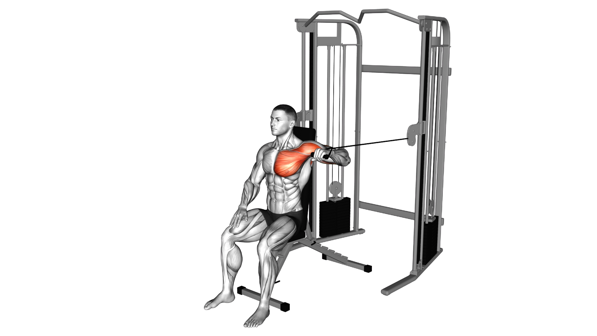 Cable Seated Single Arm Chest Press exercise demonstration