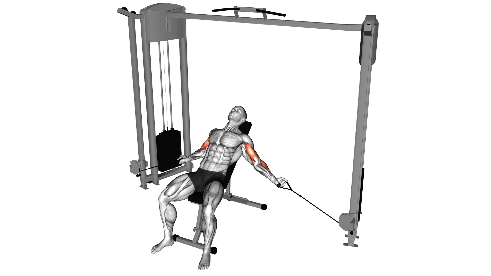 Cable Incline Inner Biceps Curl exercise demonstration