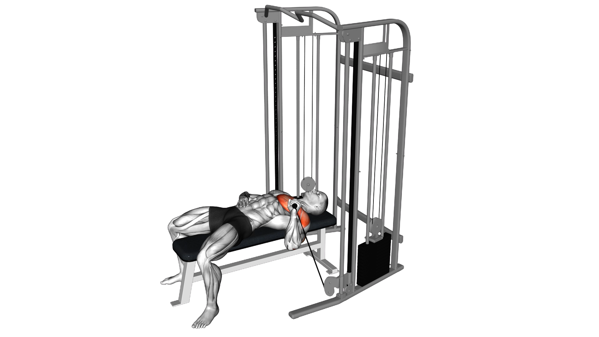 Cable Single Arm Bench Press exercise demonstration