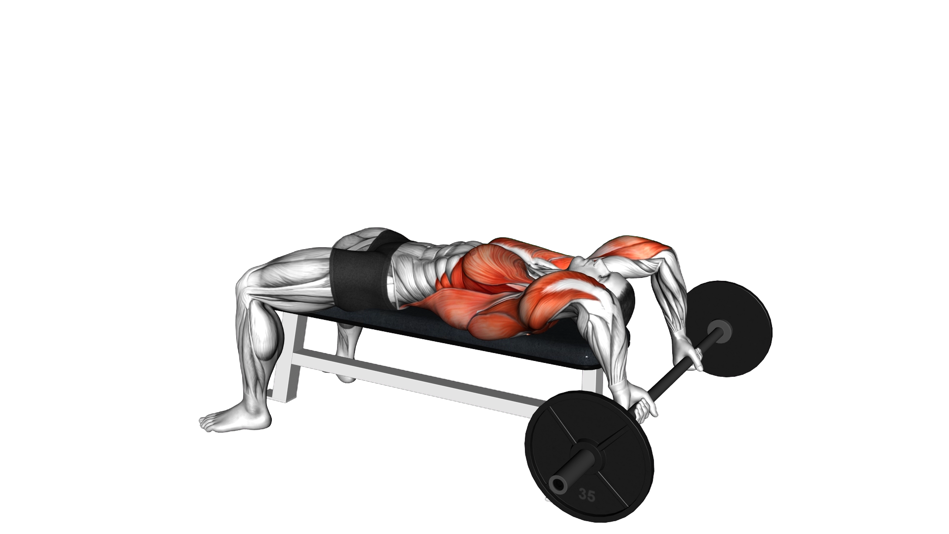 Barbell Pullover with Bench Press exercise demonstration