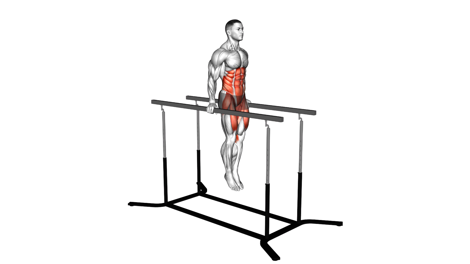 Hanging Oblique Knee Raise on Parallel Bars exercise demonstration