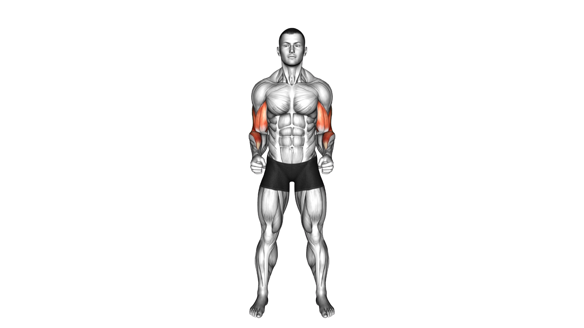 Standing Elbow Circle exercise demonstration
