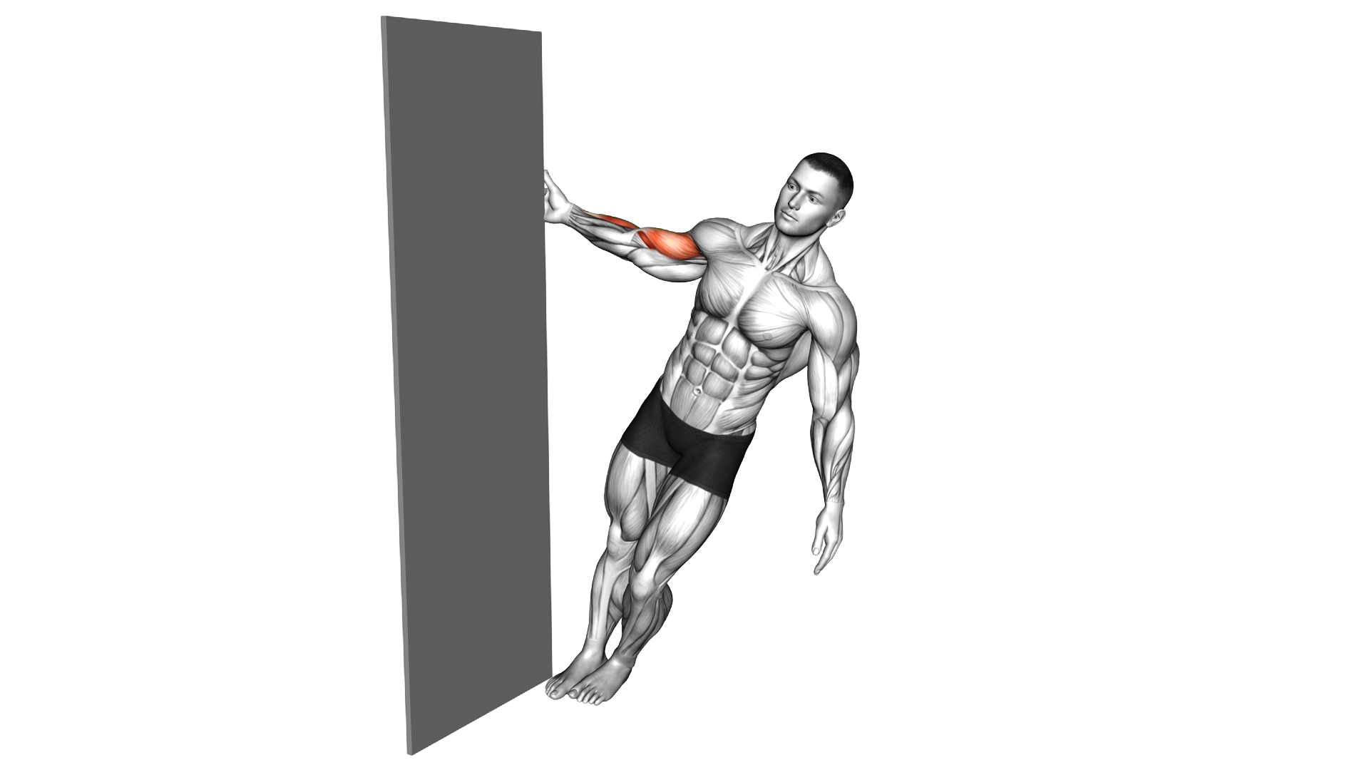 Standing Biceps Curl Door Frame exercise demonstration