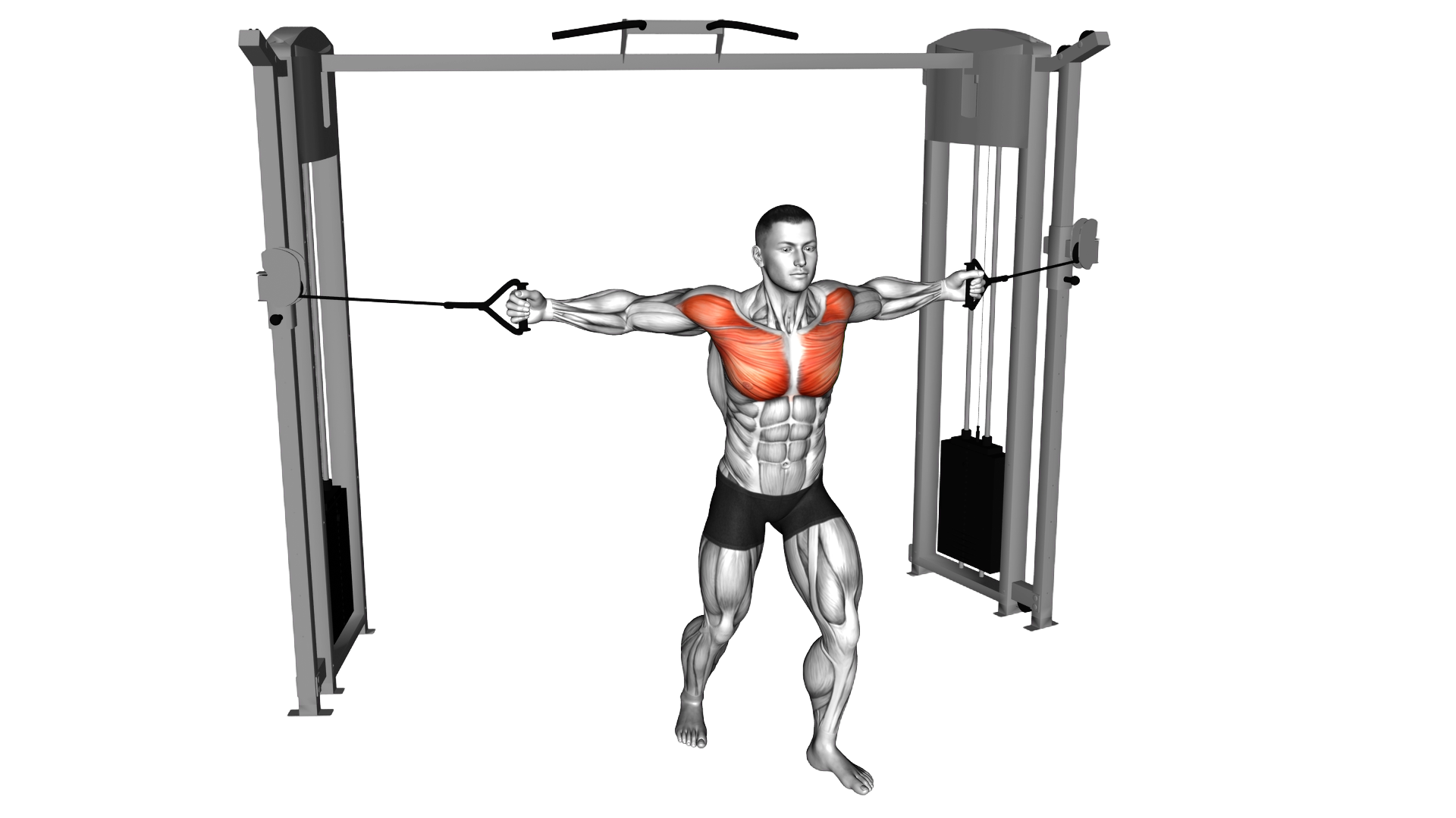 Cable Standing Alternate Chest Fly exercise demonstration