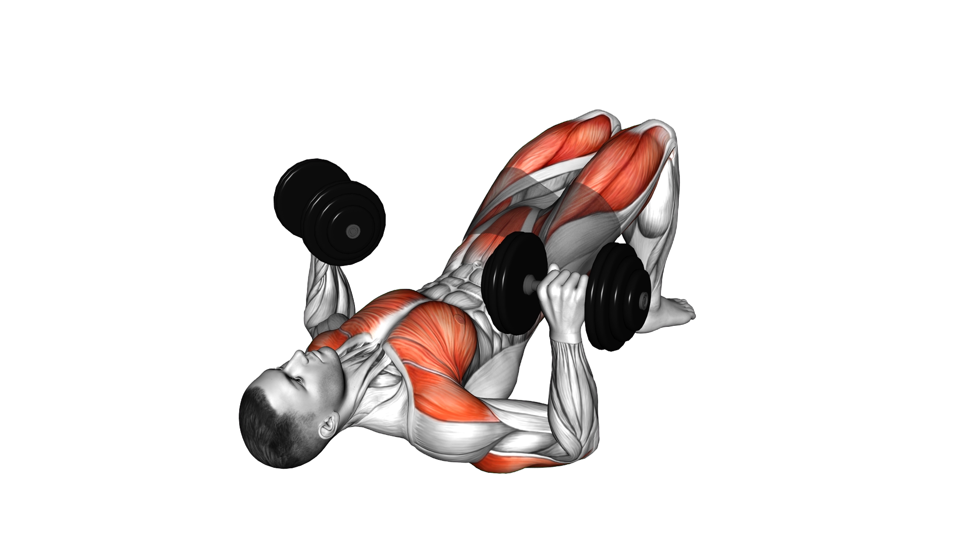 Dumbbell Glute Bridge Chest Press exercise demonstration