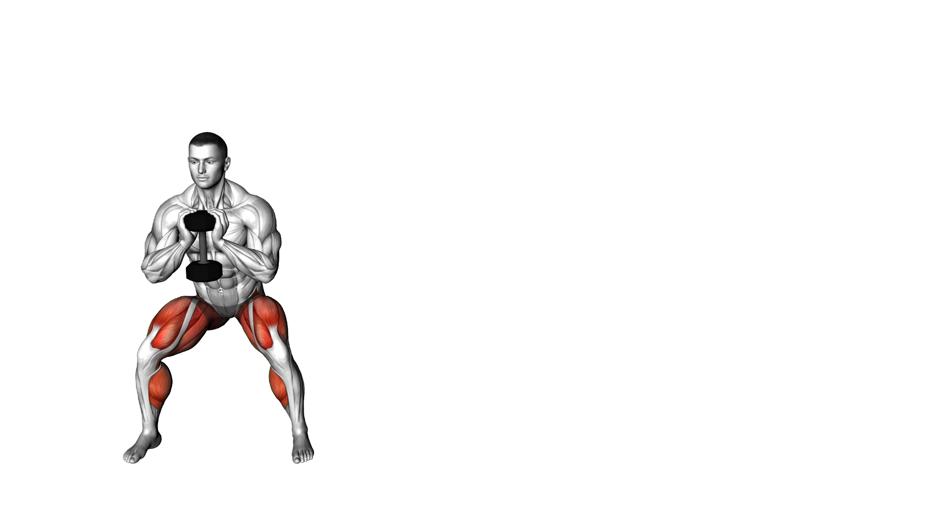 Dumbbell Goblet Squat Side Shuffle exercise demonstration