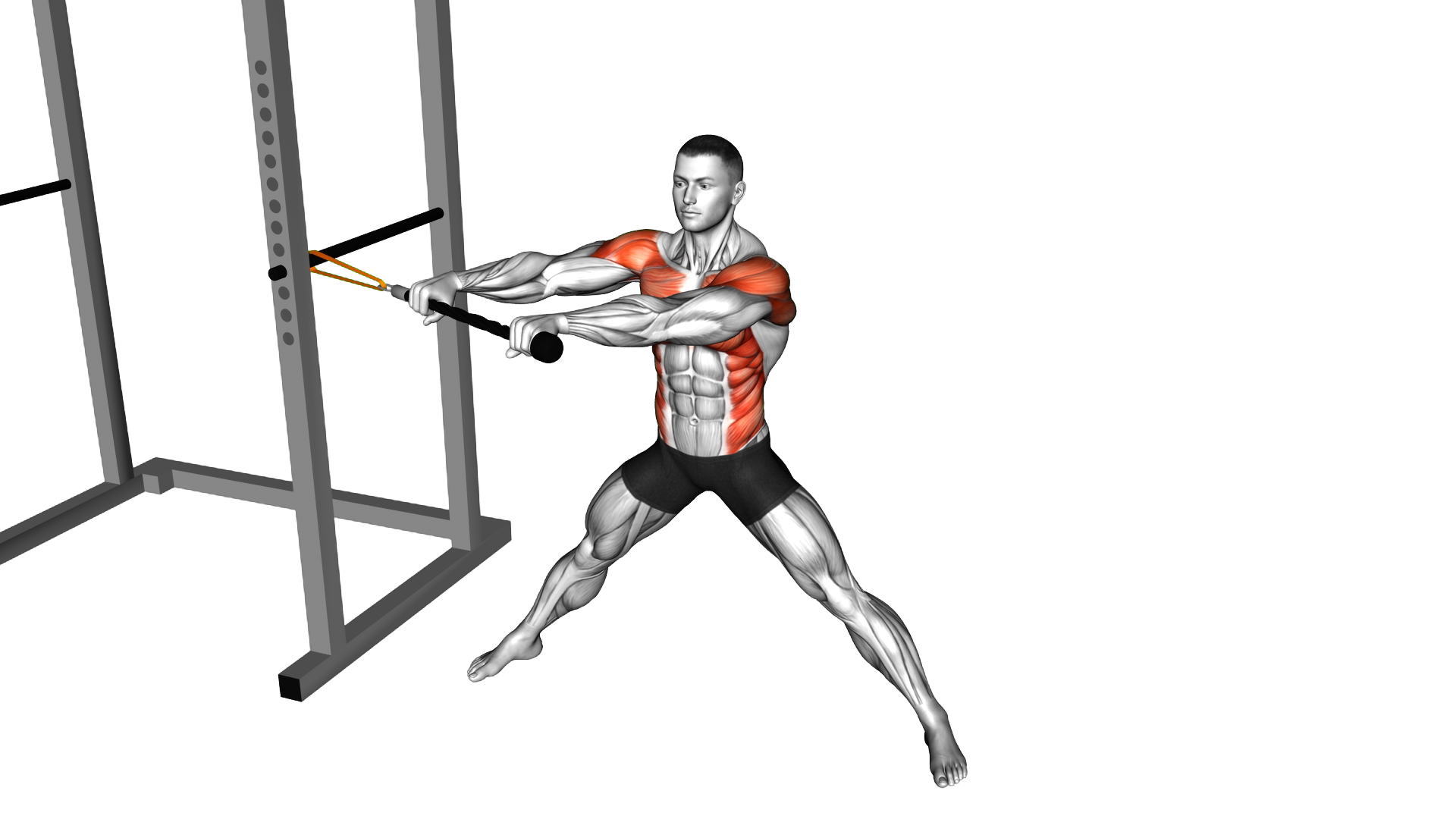 Resistance Band Wide Stance Anti Rotation Chop (ma exercise demonstration