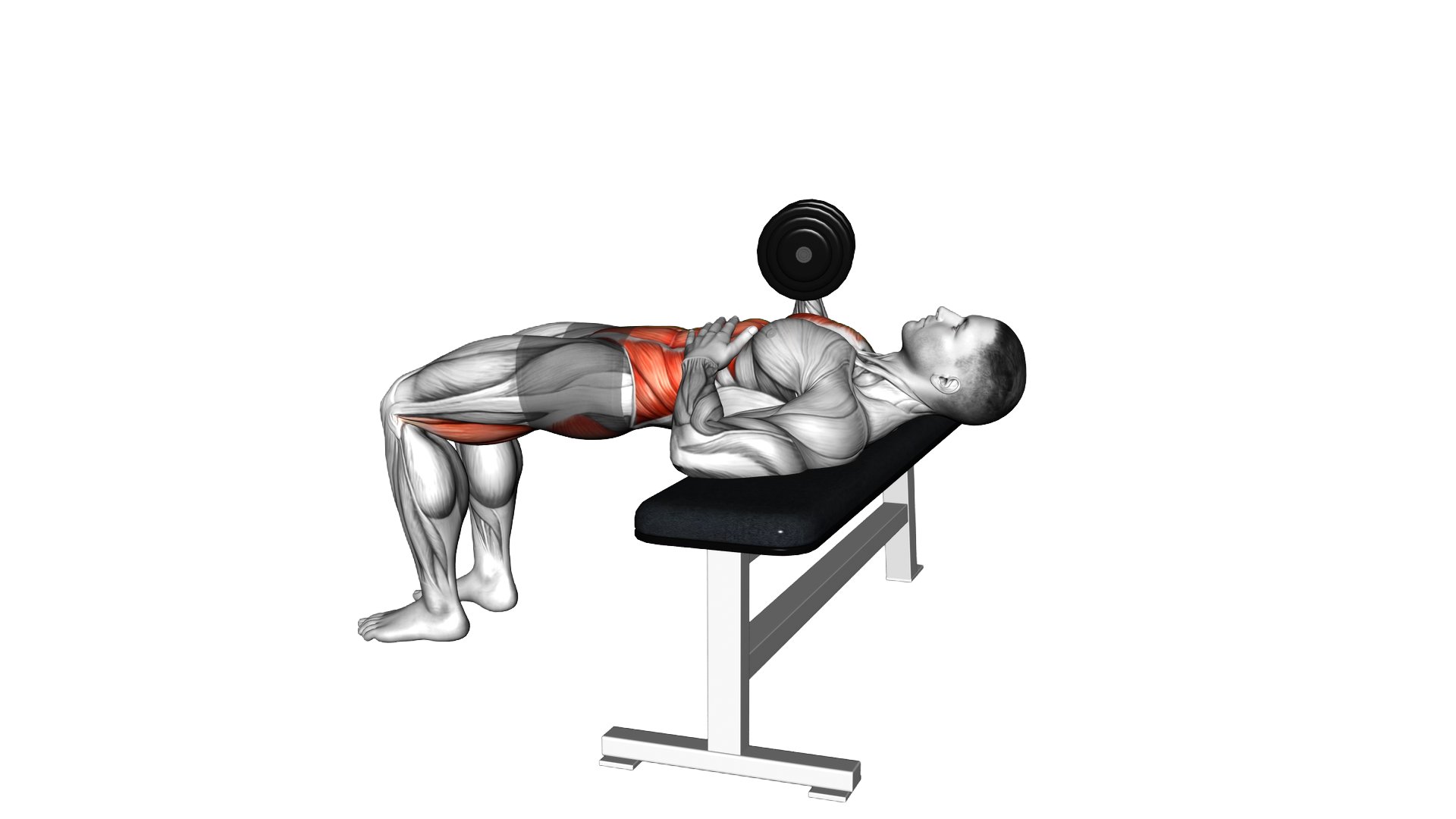 Dumbbell 3 Point Bench Press exercise demonstration