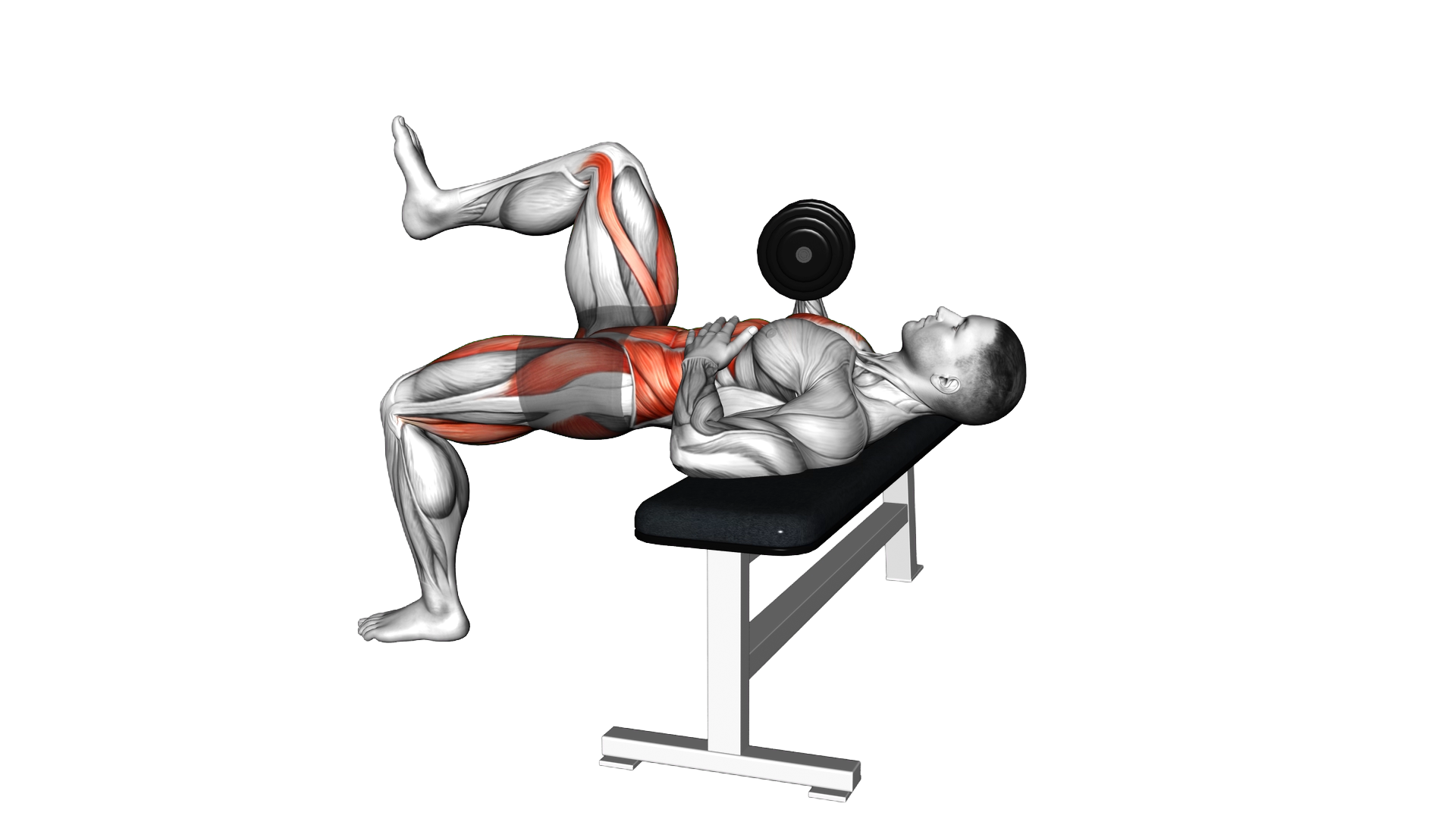 Dumbbell 2 Point Bench Press exercise demonstration