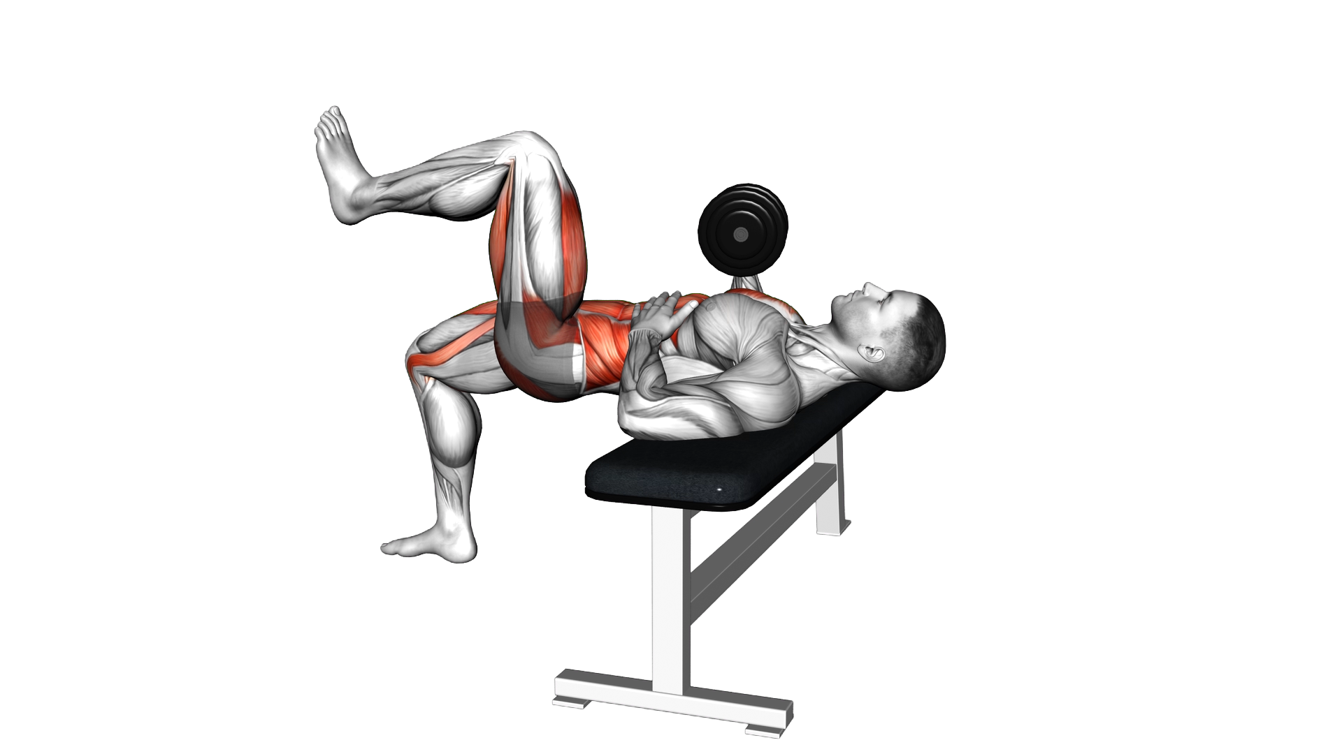 Dumbbell Opposite 2 Point Bench Press exercise demonstration