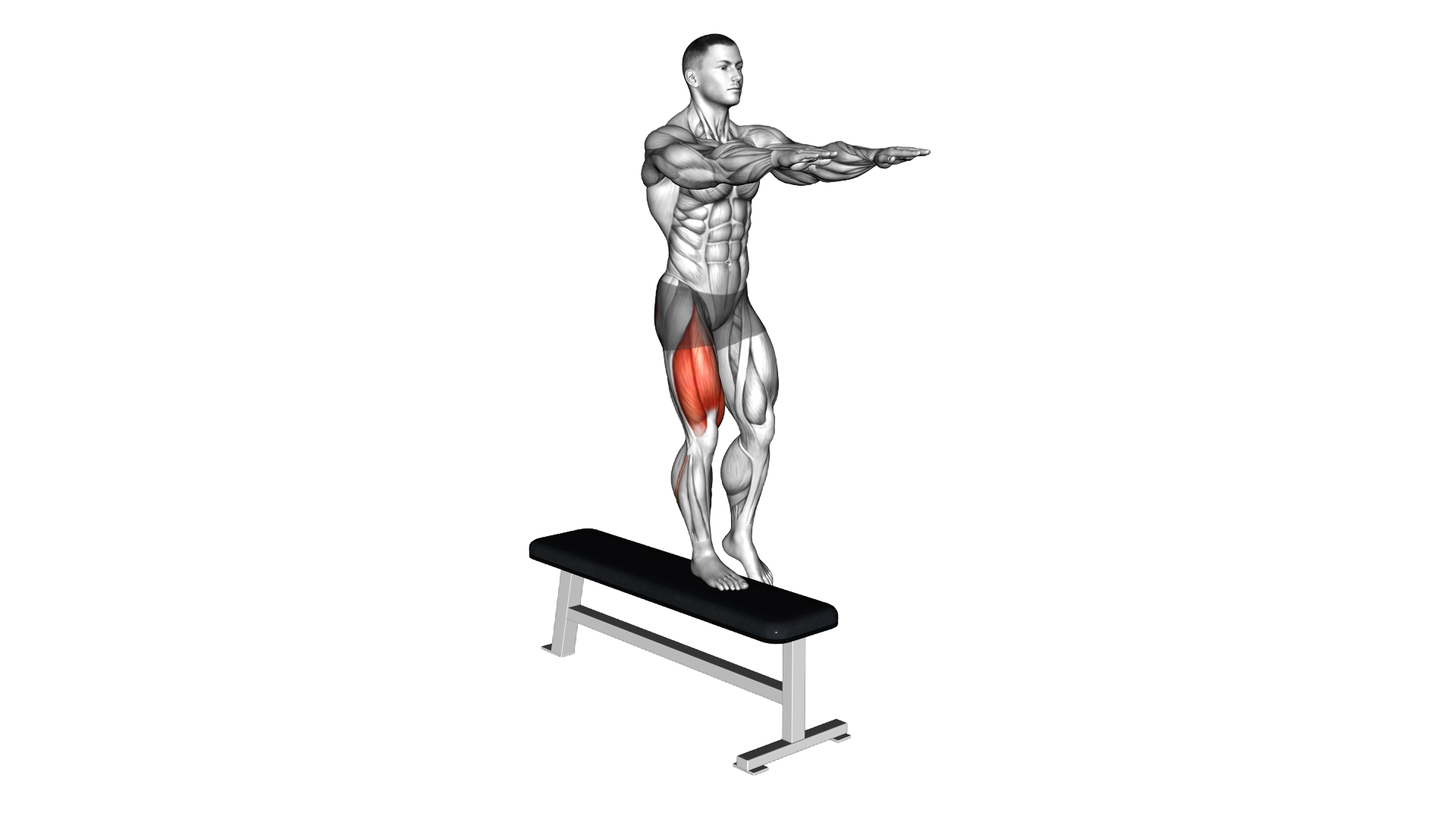 Bodyweight Lateral Step Up exercise demonstration