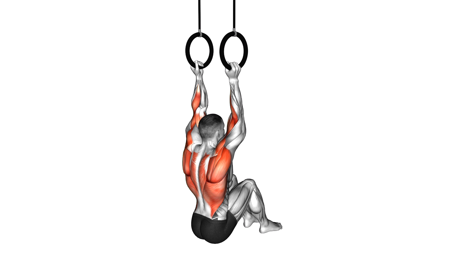 Self Assisted Neutral Grip Chin Up exercise demonstration