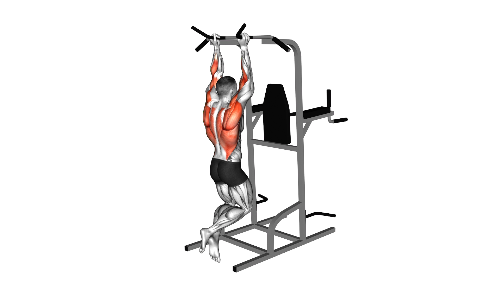 Neutral Grip Chin Up exercise demonstration