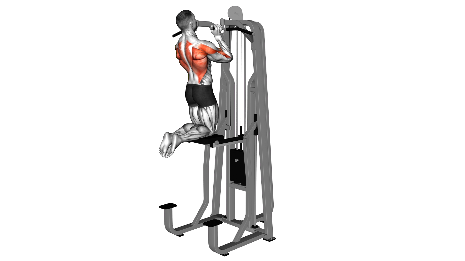 Lever Assisted Neutral Grip Chin Up exercise demonstration