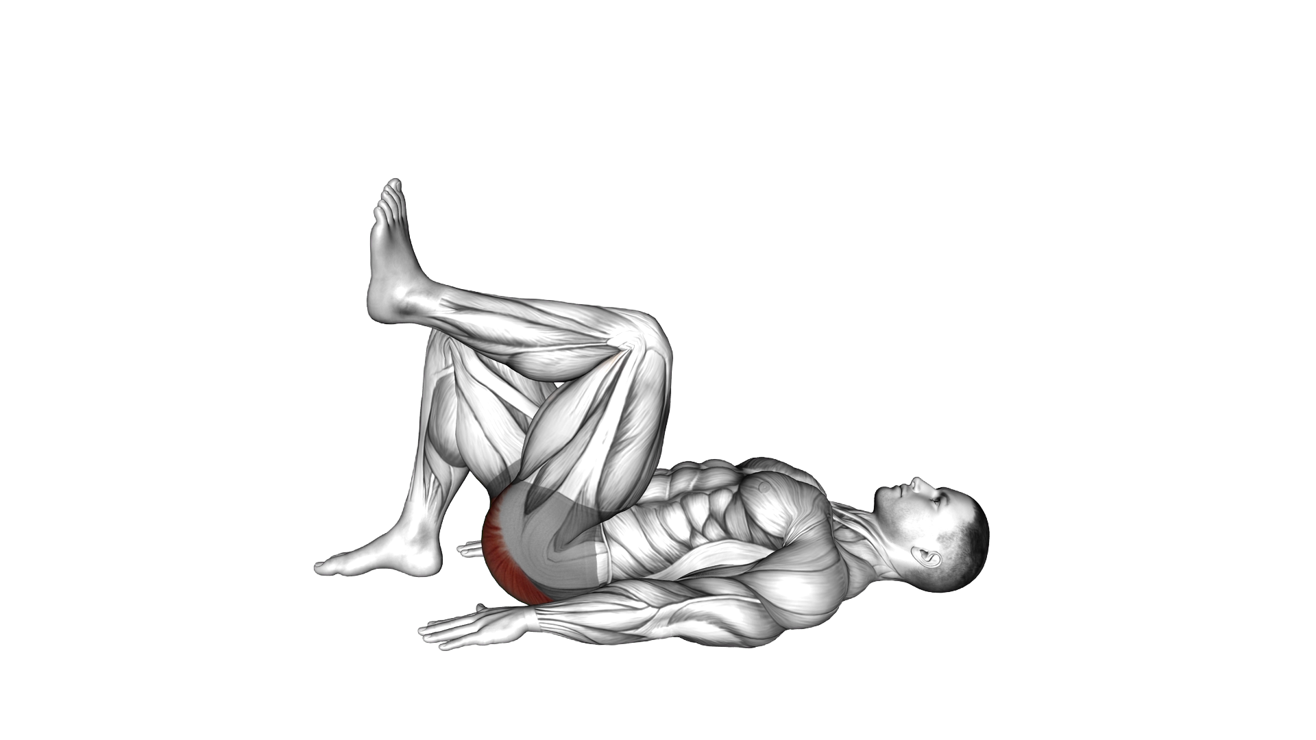 Single Leg Bridge Pose exercise demonstration