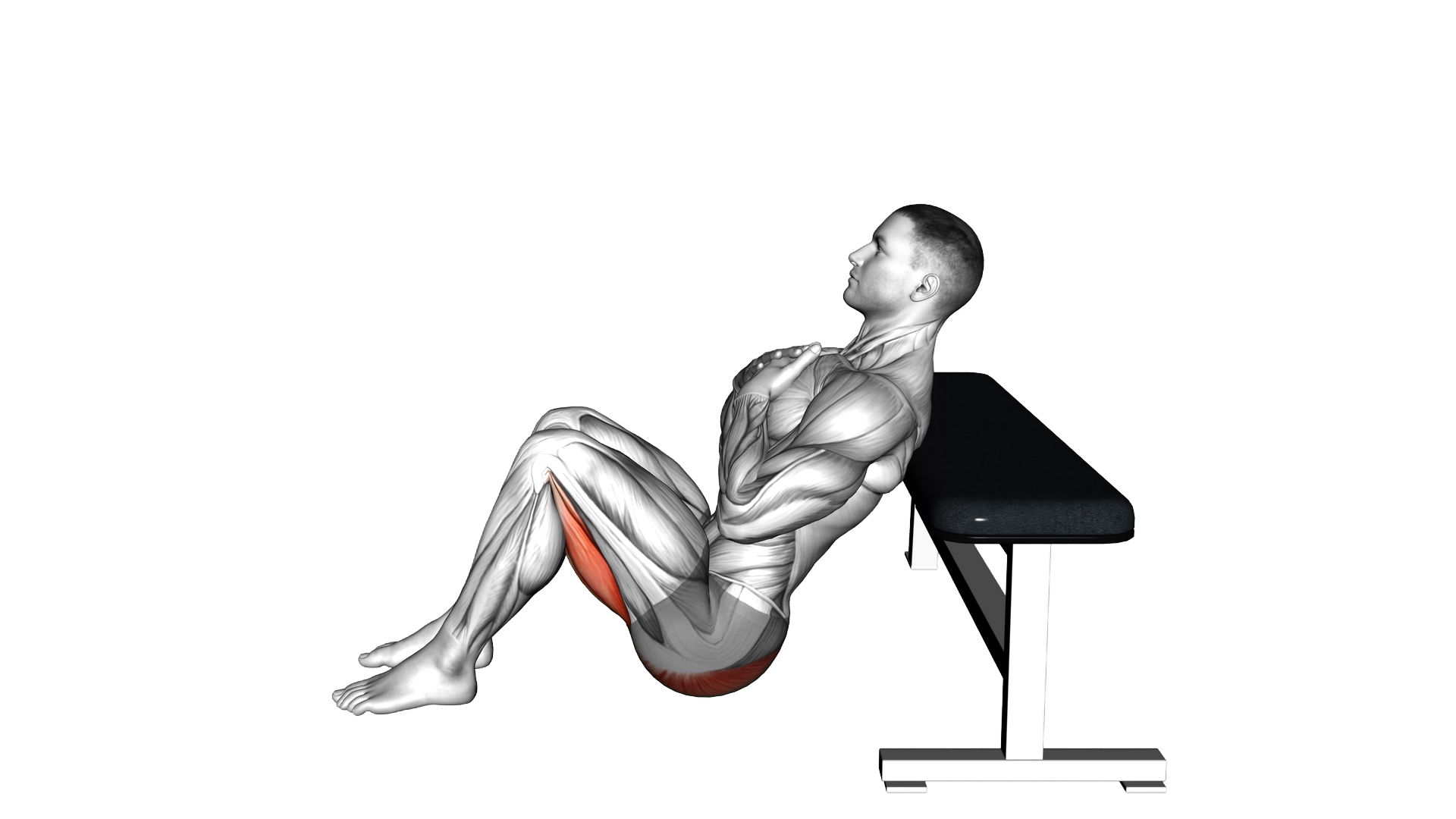 Glute Bridge from Bench exercise demonstration