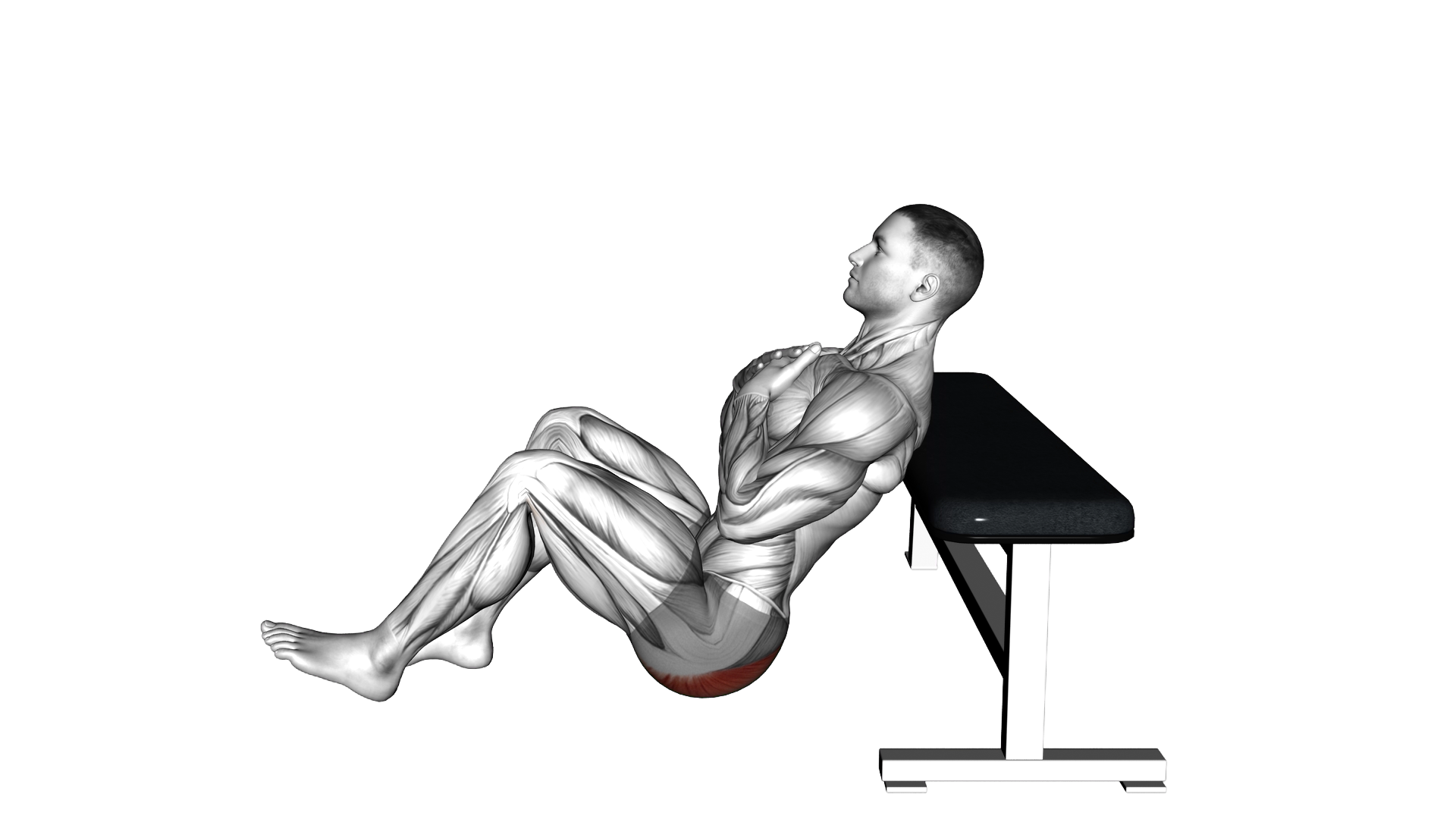 Glute Single Leg Bridge from Bench exercise demonstration