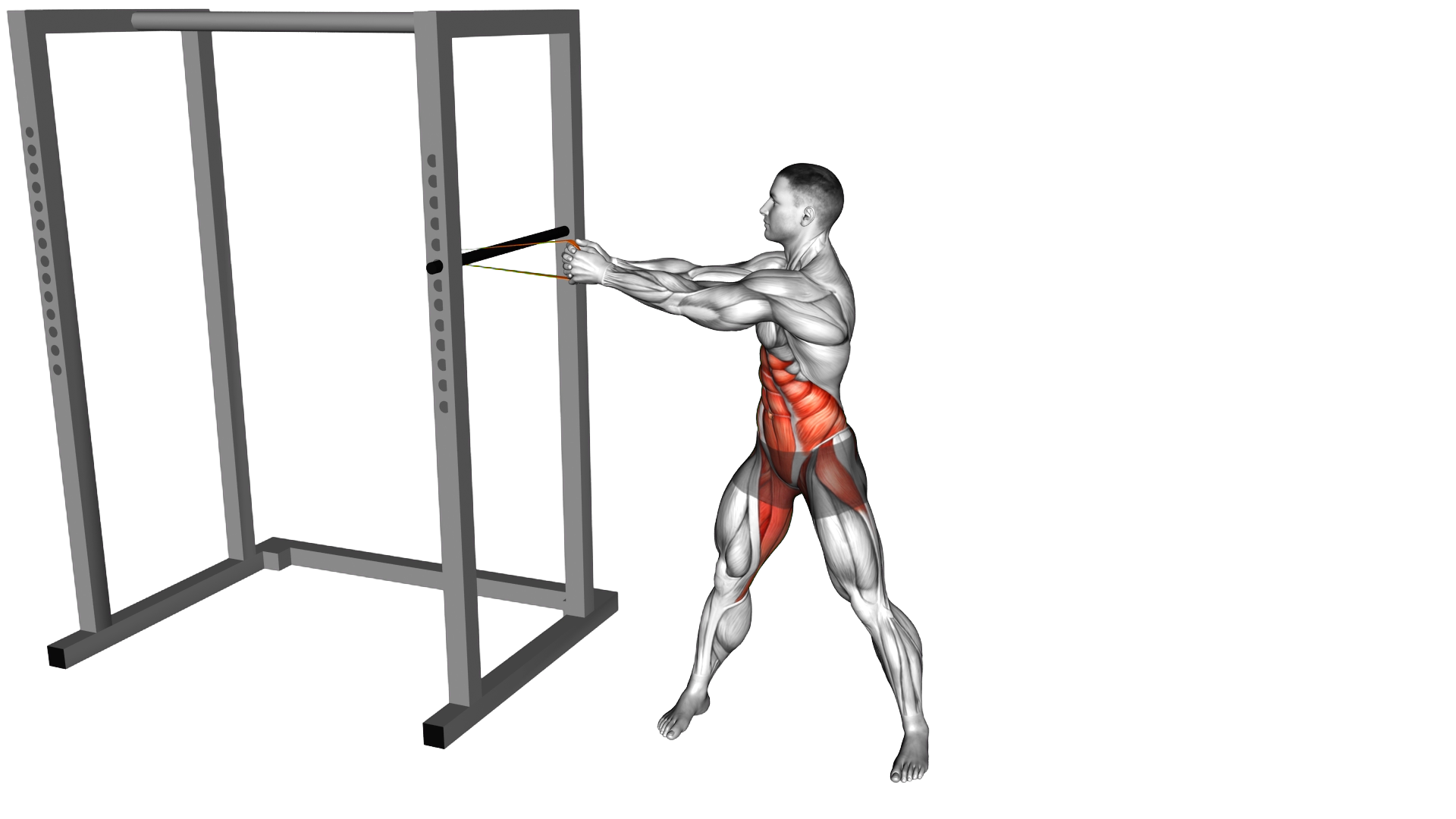 Resistance Band Standing Wood Chopper exercise demonstration