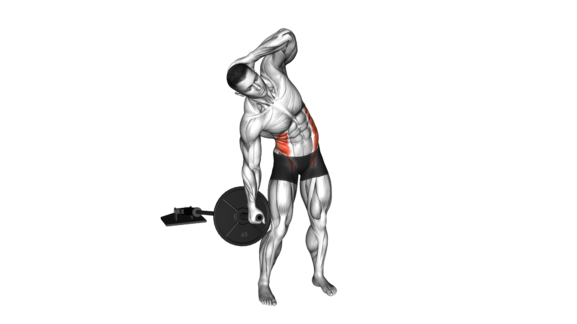 Landmine Standing Side Bend exercise demonstration