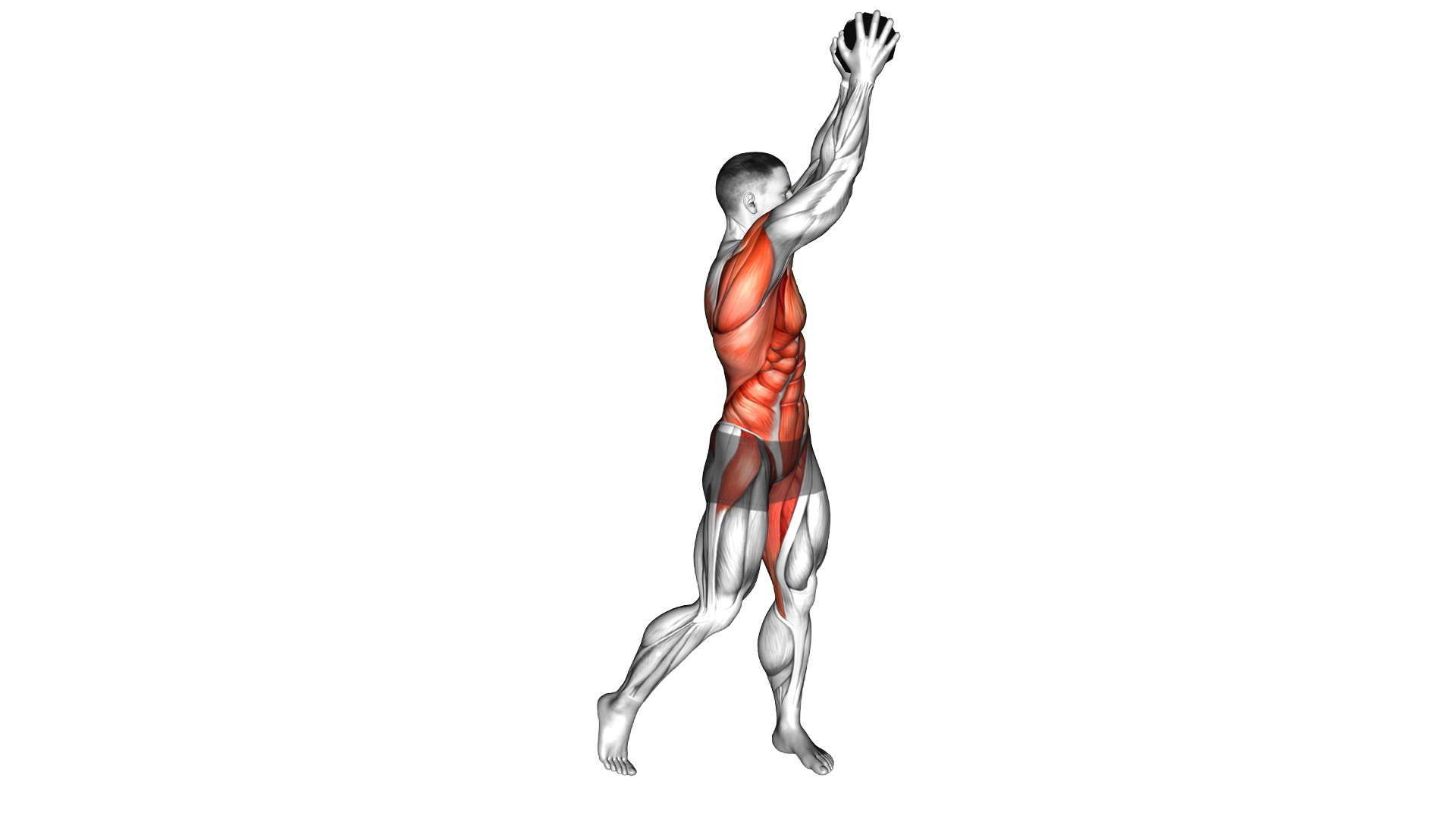 Dumbbell Wood Chop exercise demonstration