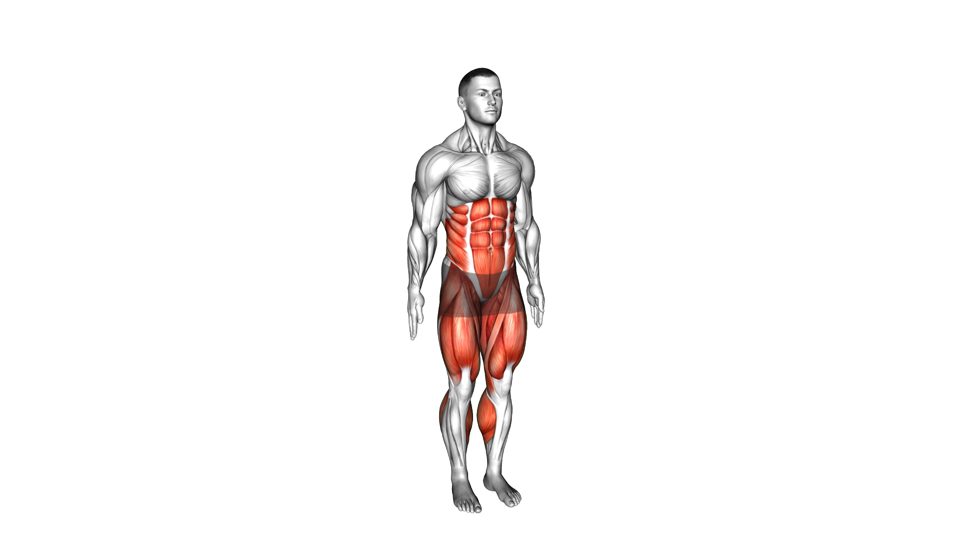 Stepback Opposite Crunch exercise demonstration