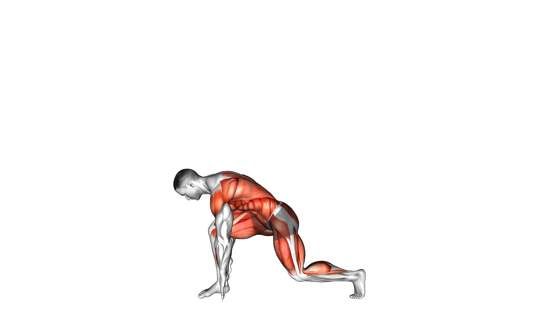 Rainbow Switching Toe Tap exercise demonstration