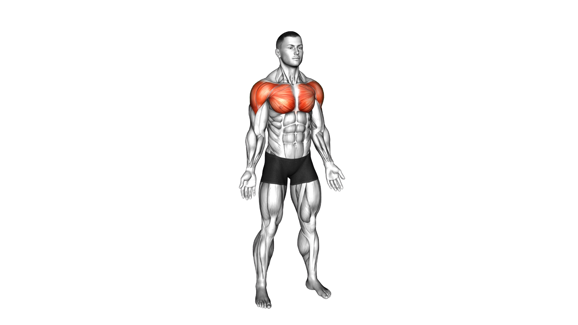 Standing Shoulder Medial and Lateral Rotation exercise demonstration