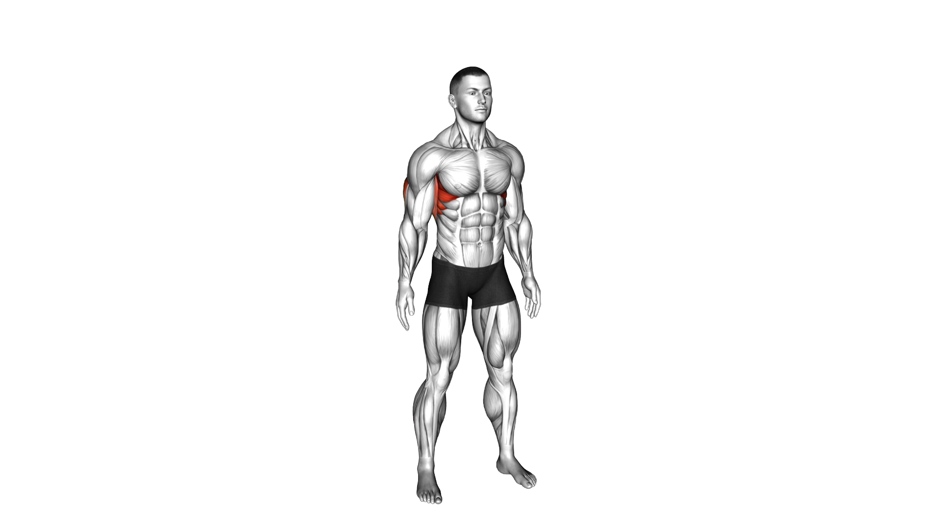 Standing Shoulder Inferior Capsule Stretch exercise demonstration
