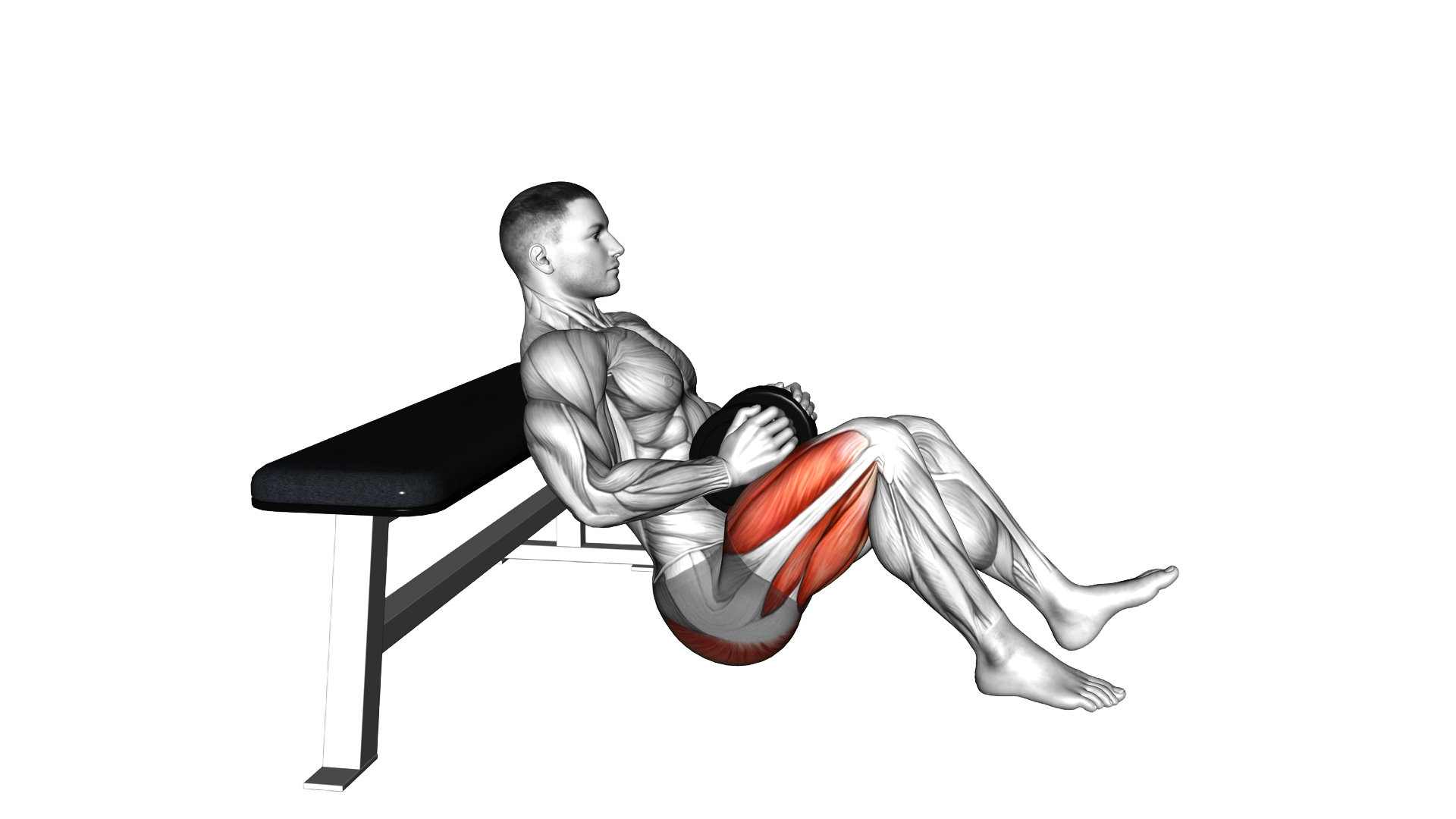 Dumbbell Single Leg Hip Thrust exercise demonstration