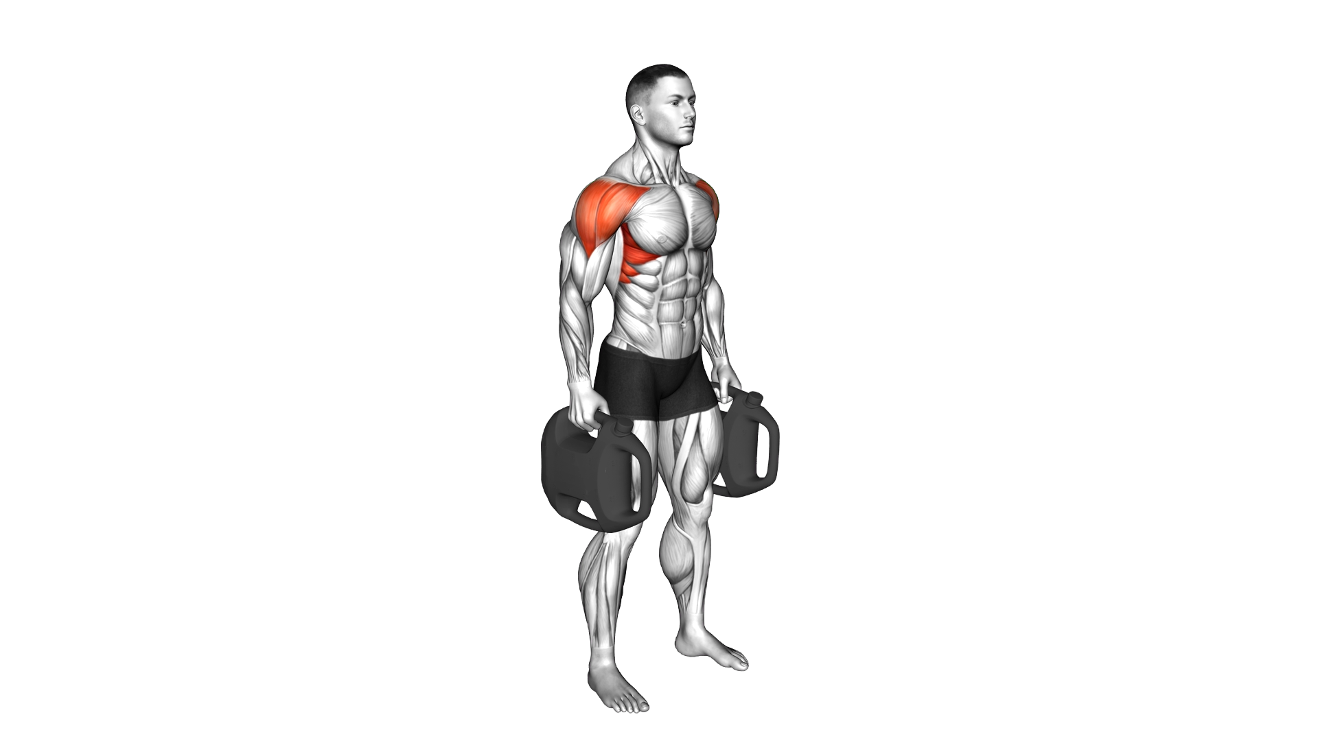 Bottle Weighted Lateral Raise exercise demonstration