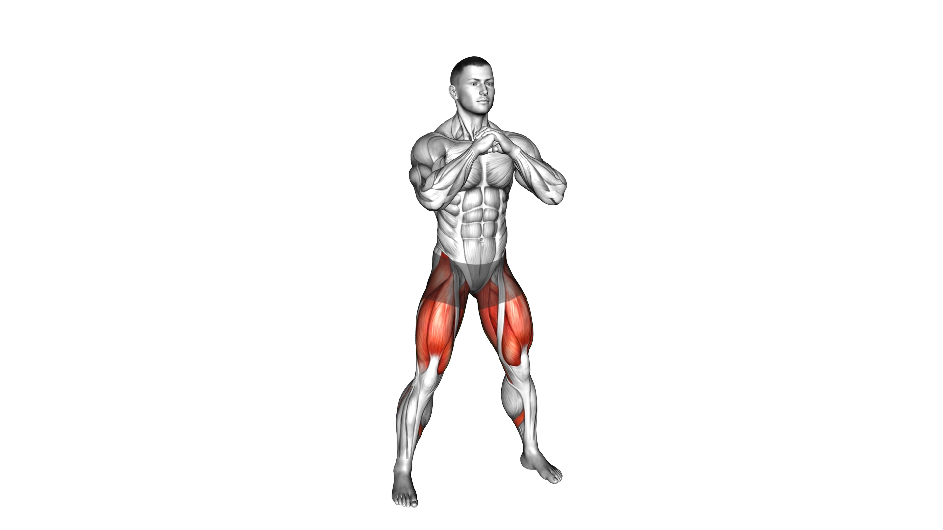 Side to Side Squat exercise demonstration
