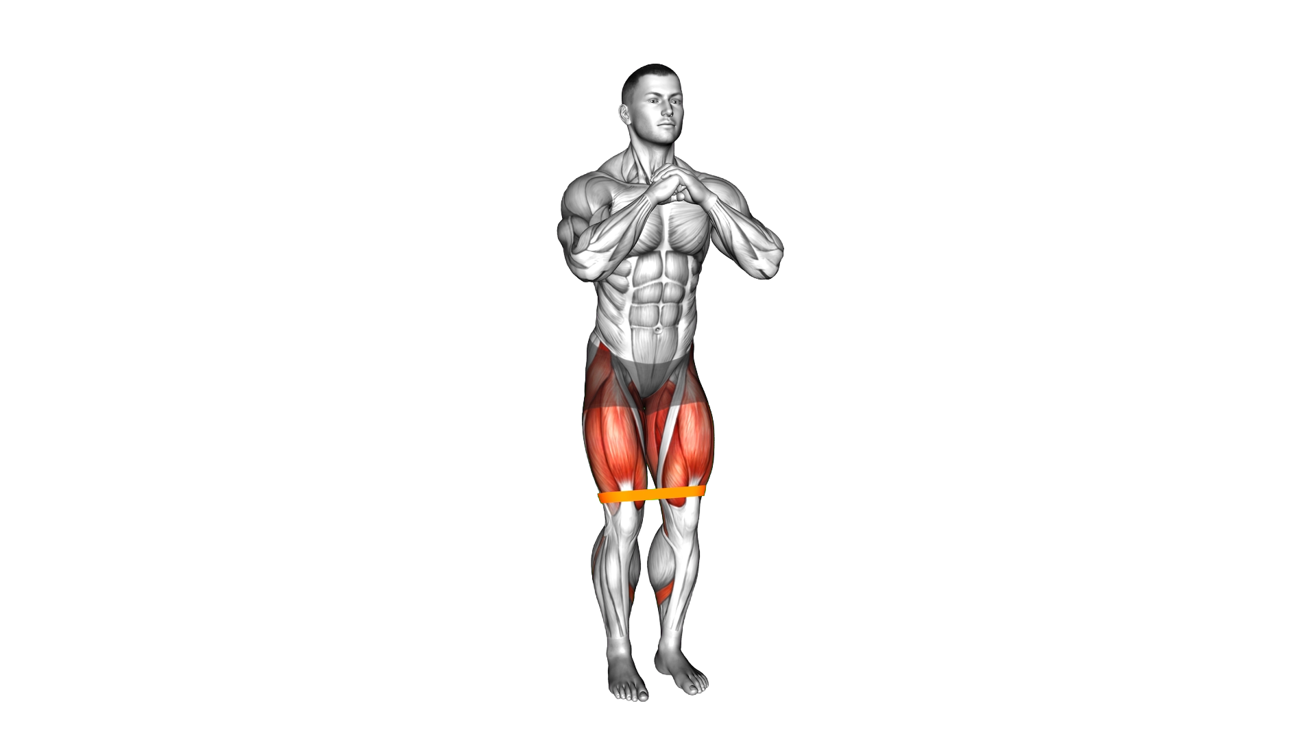 Resistance Band Squat Step Out exercise demonstration