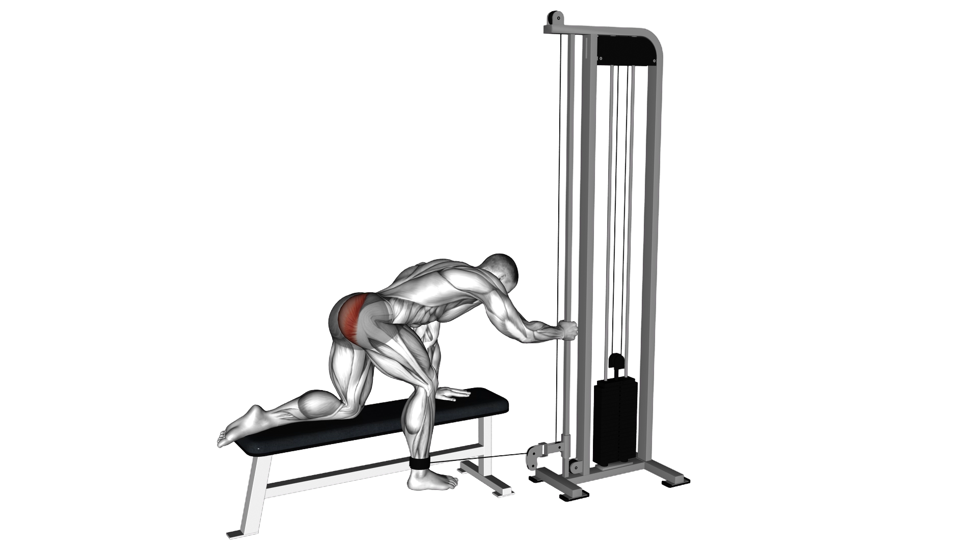 Cable Kneeling Glute Kickback exercise demonstration