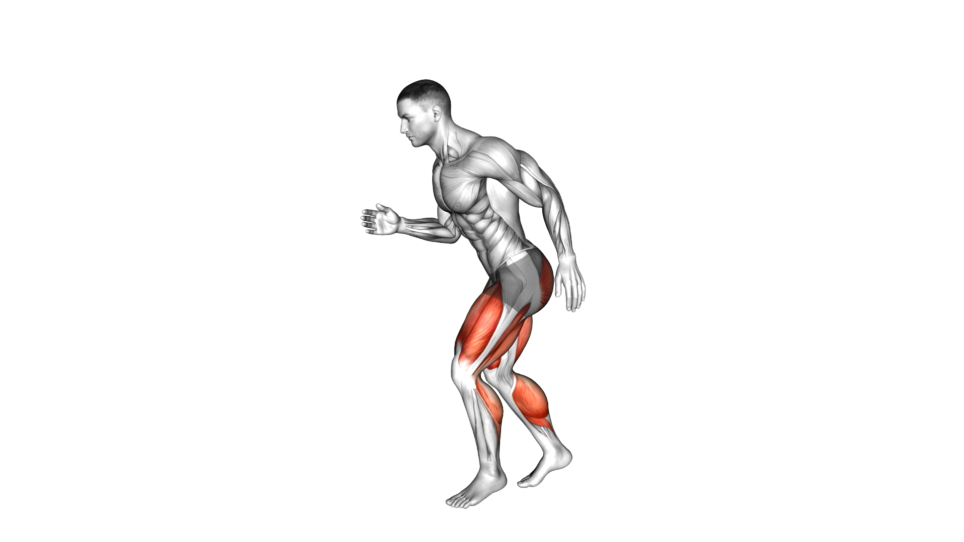 Forward Backward Quick Step exercise demonstration