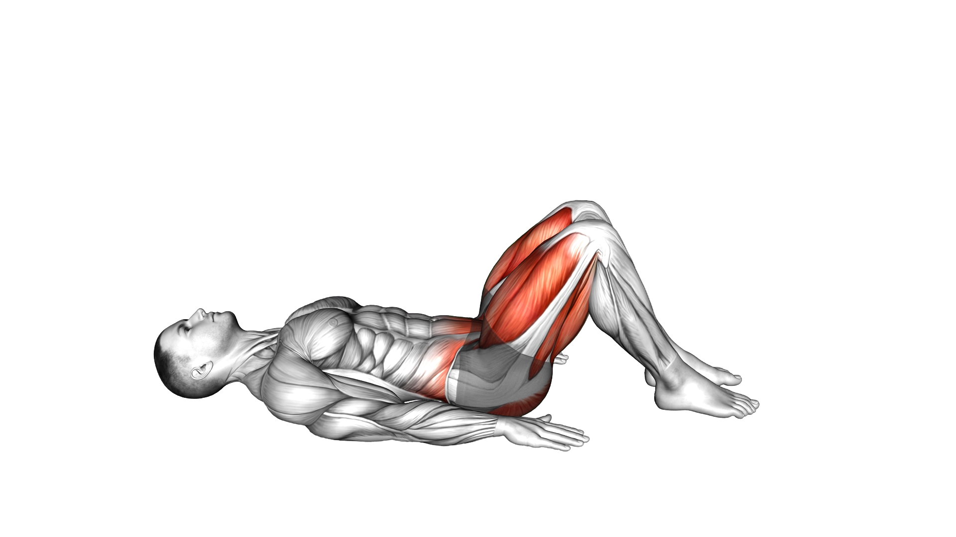 Lying Alternate Sole Kick exercise demonstration
