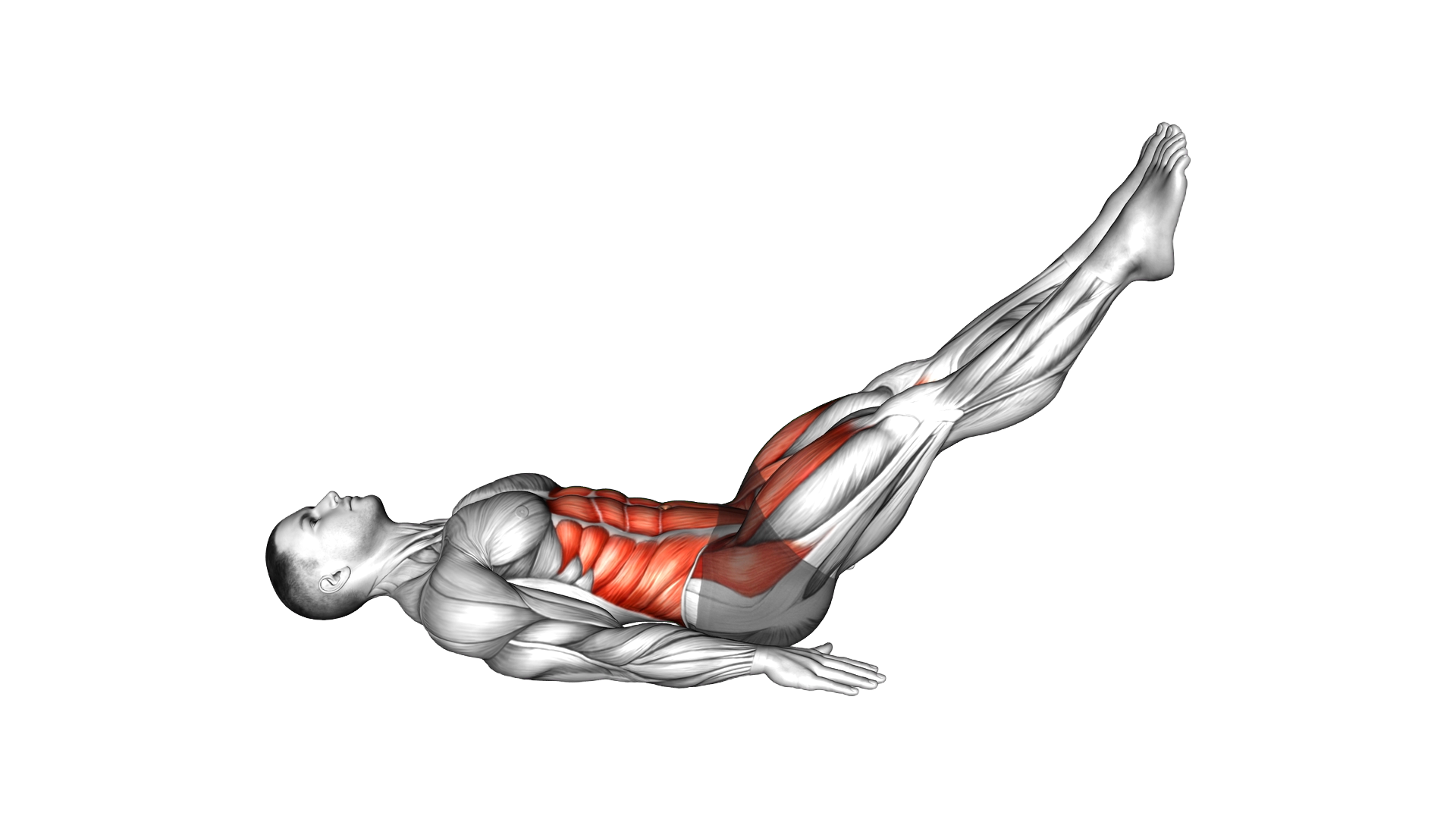 Lying Hip Knee Raise exercise demonstration