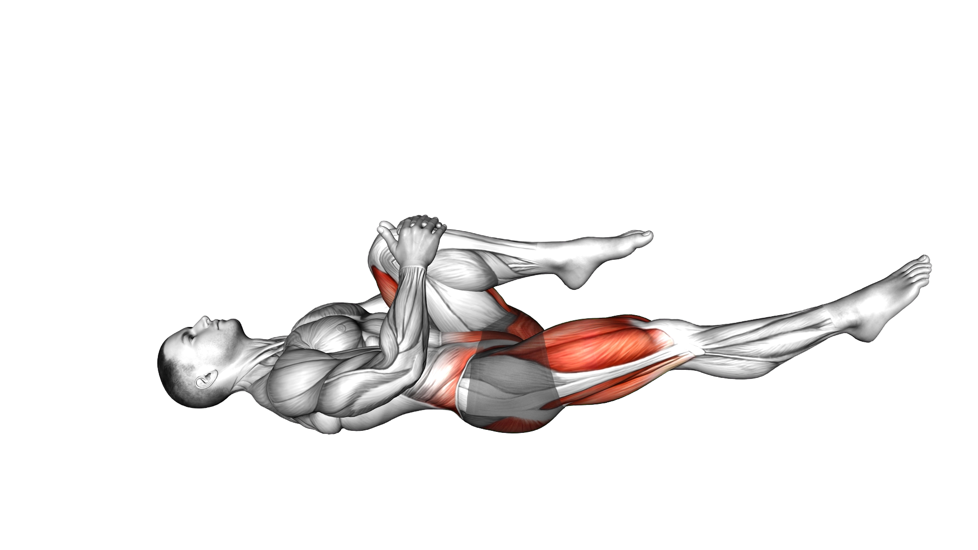 Lying Alternate Knee Tuck exercise demonstration