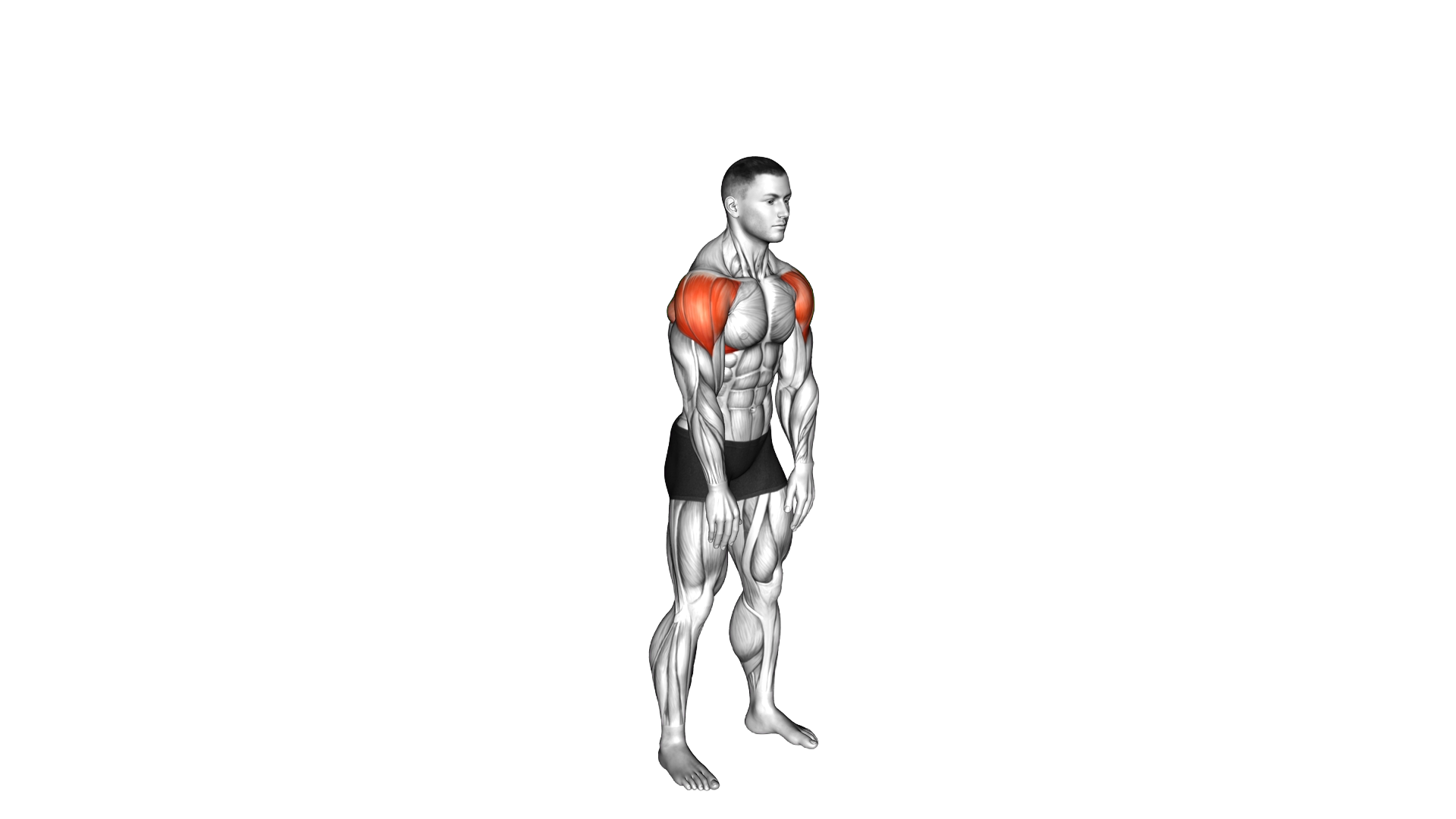 Standing Y Up exercise demonstration