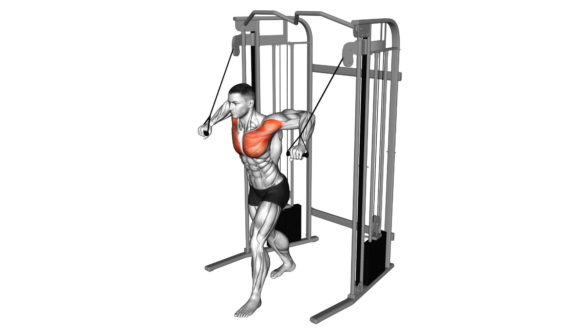 Cable Standing Crossover exercise demonstration