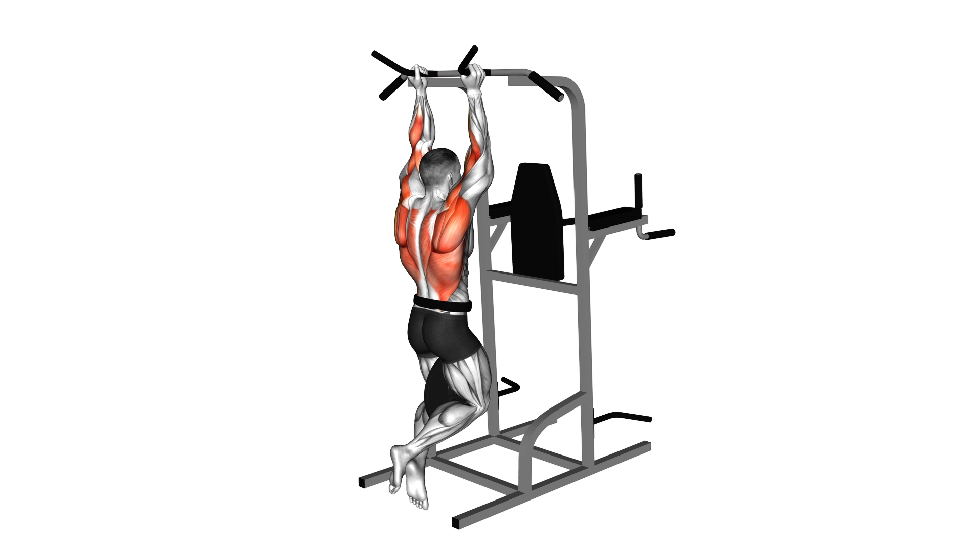 Weighted Neutral Grip Chin Up exercise demonstration